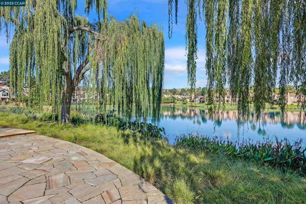 51 Eagle Lake Ct 11, San Ramon, California 94582 home-pic-33